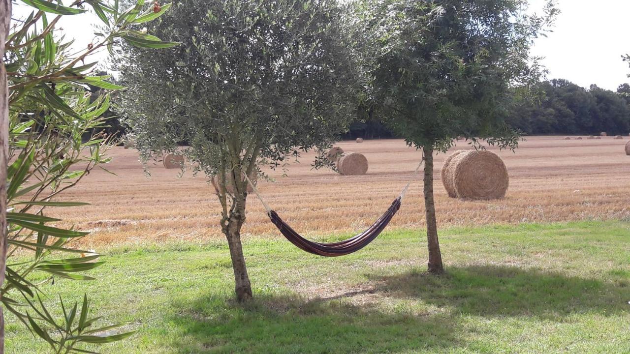 Gite Du Chateau De Pernan Avy Esterno foto